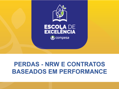 PERDAS-NRW E CONTRATOS BASEADOS EM PERFORMANCE